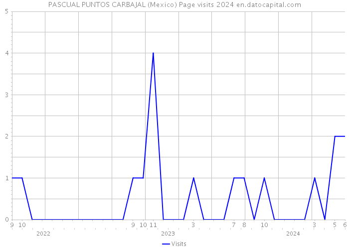 PASCUAL PUNTOS CARBAJAL (Mexico) Page visits 2024 