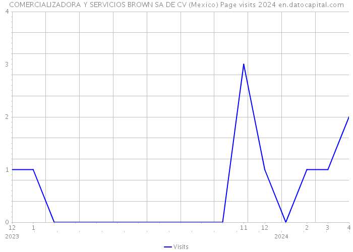 COMERCIALIZADORA Y SERVICIOS BROWN SA DE CV (Mexico) Page visits 2024 