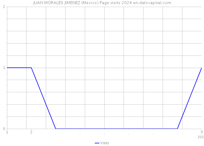 JUAN MORALES JIMENEZ (Mexico) Page visits 2024 