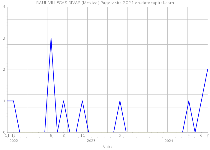 RAUL VILLEGAS RIVAS (Mexico) Page visits 2024 
