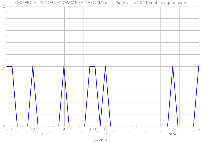 COMERCIALIZADORA SNOWCAP SA DE CV (Mexico) Page visits 2024 