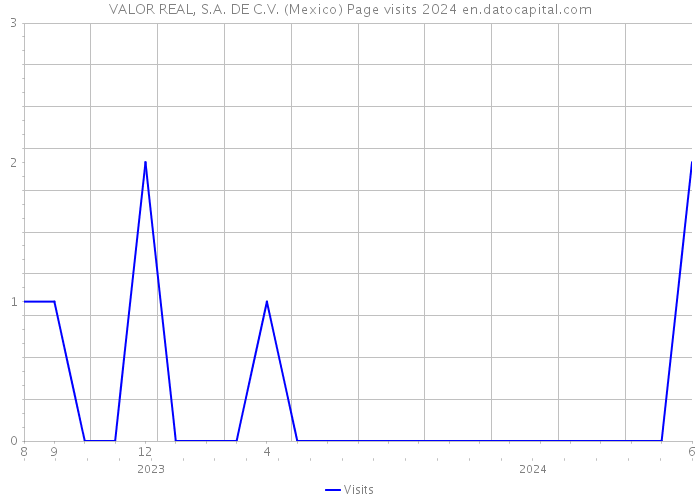 VALOR REAL, S.A. DE C.V. (Mexico) Page visits 2024 