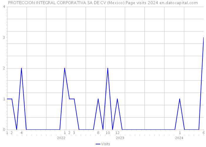 PROTECCION INTEGRAL CORPORATIVA SA DE CV (Mexico) Page visits 2024 