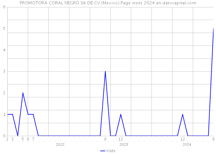 PROMOTORA CORAL NEGRO SA DE CV (Mexico) Page visits 2024 