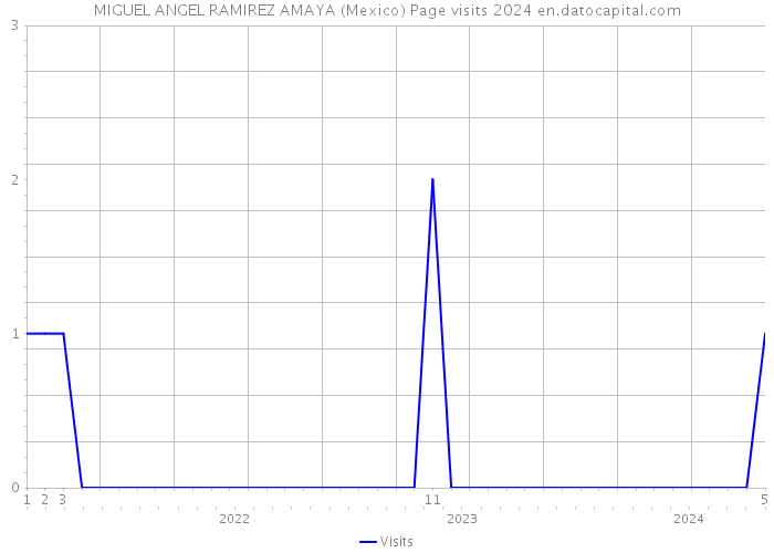 MIGUEL ANGEL RAMIREZ AMAYA (Mexico) Page visits 2024 
