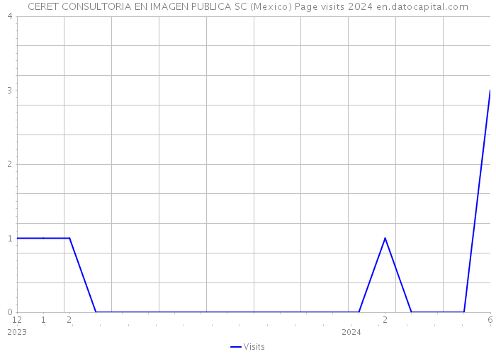 CERET CONSULTORIA EN IMAGEN PUBLICA SC (Mexico) Page visits 2024 
