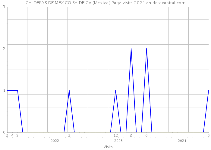 CALDERYS DE MEXICO SA DE CV (Mexico) Page visits 2024 