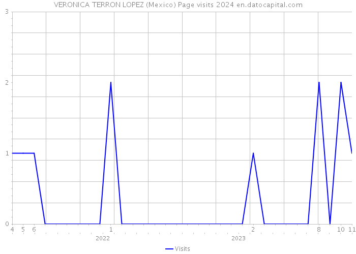 VERONICA TERRON LOPEZ (Mexico) Page visits 2024 
