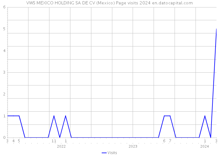 VWS MEXICO HOLDING SA DE CV (Mexico) Page visits 2024 