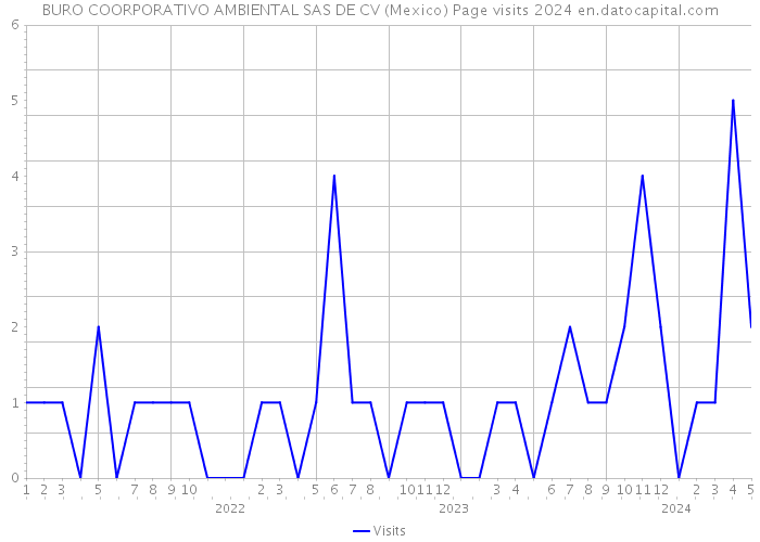 BURO COORPORATIVO AMBIENTAL SAS DE CV (Mexico) Page visits 2024 