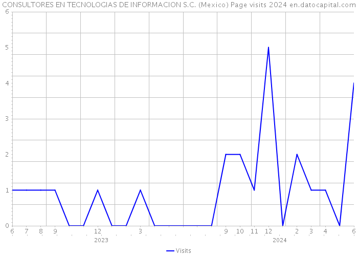 CONSULTORES EN TECNOLOGIAS DE INFORMACION S.C. (Mexico) Page visits 2024 