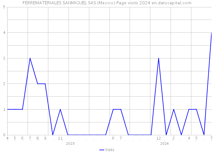 FERREMATERIALES SANMIGUEL SAS (Mexico) Page visits 2024 