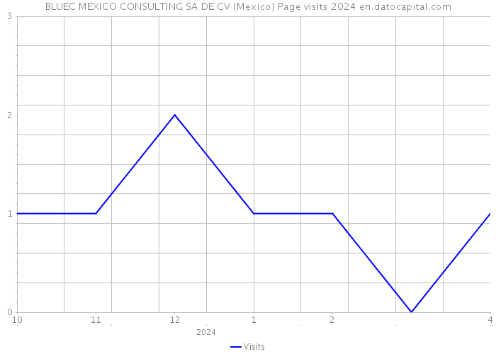 BLUEC MEXICO CONSULTING SA DE CV (Mexico) Page visits 2024 