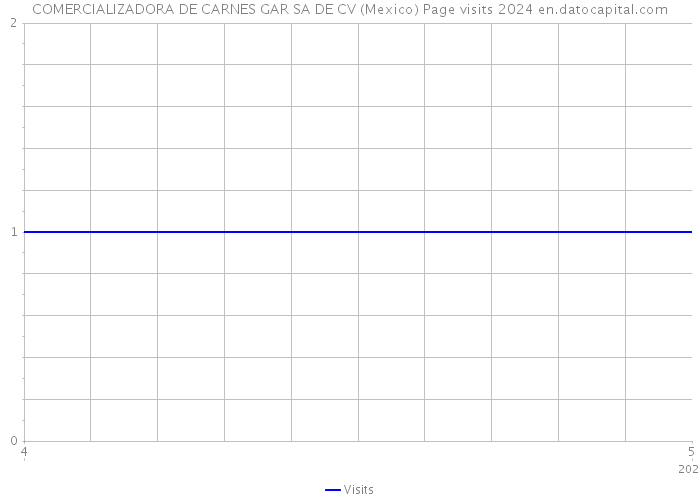 COMERCIALIZADORA DE CARNES GAR SA DE CV (Mexico) Page visits 2024 