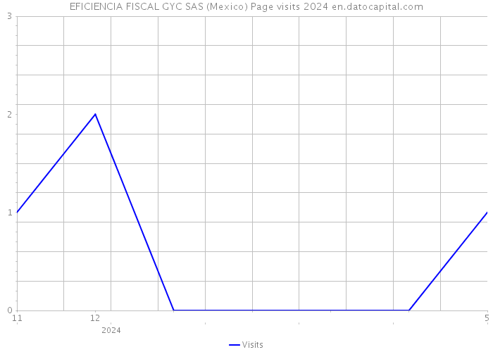EFICIENCIA FISCAL GYC SAS (Mexico) Page visits 2024 