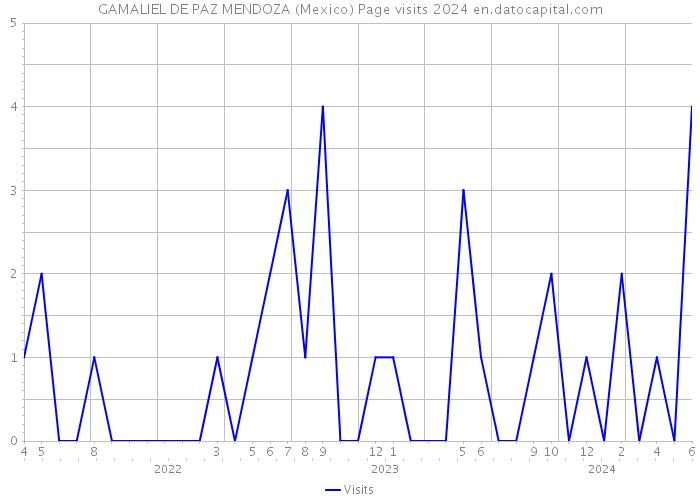 GAMALIEL DE PAZ MENDOZA (Mexico) Page visits 2024 