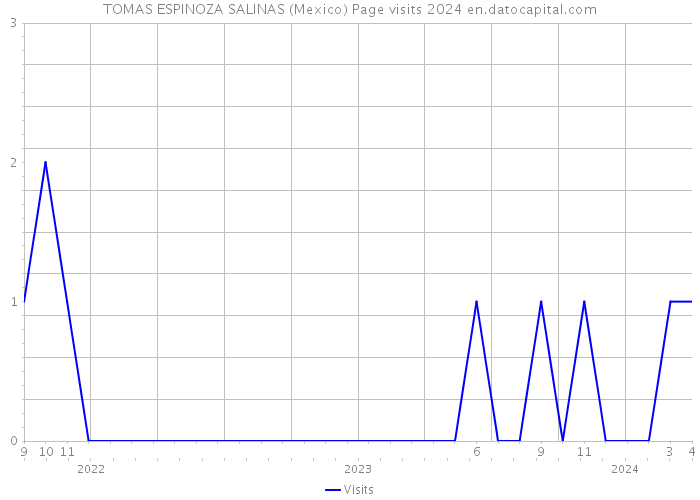 TOMAS ESPINOZA SALINAS (Mexico) Page visits 2024 