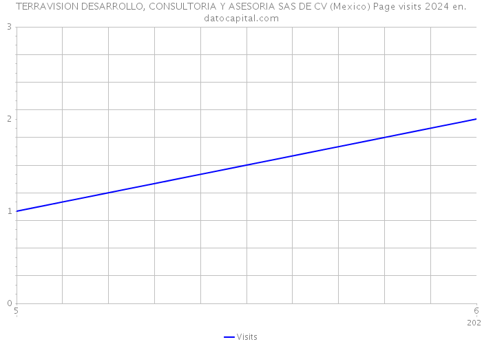 TERRAVISION DESARROLLO, CONSULTORIA Y ASESORIA SAS DE CV (Mexico) Page visits 2024 