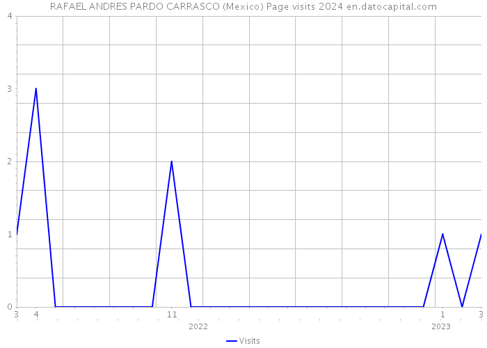 RAFAEL ANDRES PARDO CARRASCO (Mexico) Page visits 2024 