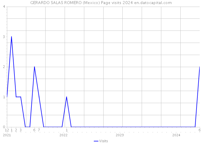 GERARDO SALAS ROMERO (Mexico) Page visits 2024 