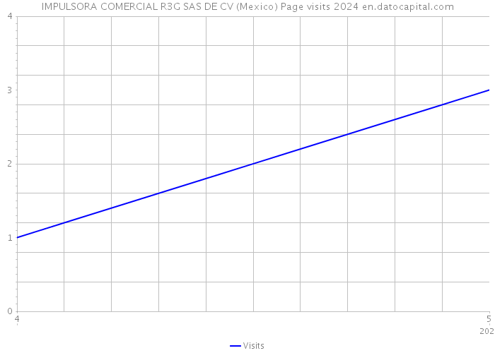 IMPULSORA COMERCIAL R3G SAS DE CV (Mexico) Page visits 2024 