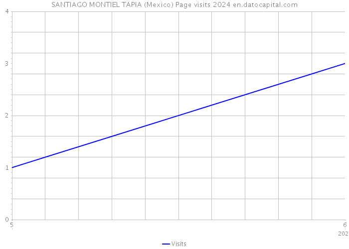 SANTIAGO MONTIEL TAPIA (Mexico) Page visits 2024 