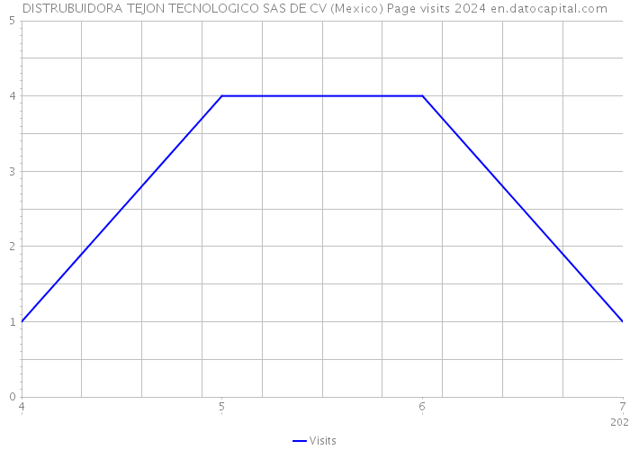 DISTRUBUIDORA TEJON TECNOLOGICO SAS DE CV (Mexico) Page visits 2024 