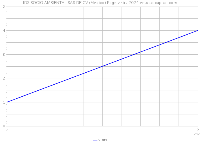 IDS SOCIO AMBIENTAL SAS DE CV (Mexico) Page visits 2024 