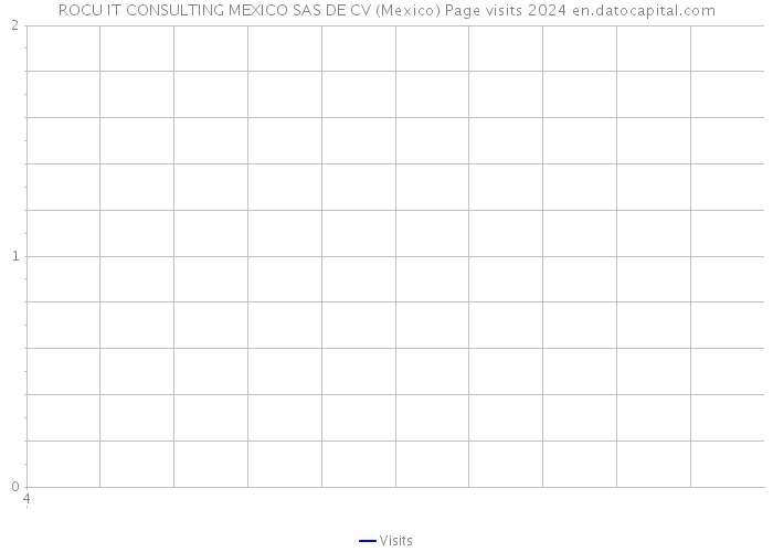 ROCU IT CONSULTING MEXICO SAS DE CV (Mexico) Page visits 2024 