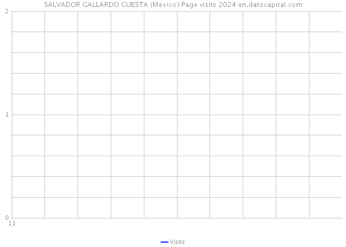 SALVADOR GALLARDO CUESTA (Mexico) Page visits 2024 