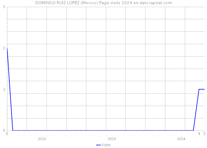 DOMINGO RUIZ LOPEZ (Mexico) Page visits 2024 