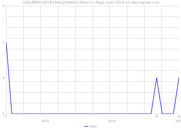 GUILLERMO REYES MALDONADO (Mexico) Page visits 2024 