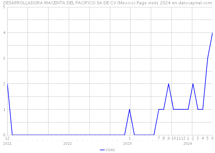 DESARROLLADORA MAGENTA DEL PACIFICO SA DE CV (Mexico) Page visits 2024 