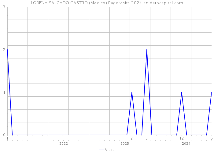 LORENA SALGADO CASTRO (Mexico) Page visits 2024 