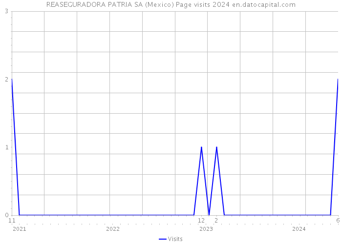 REASEGURADORA PATRIA SA (Mexico) Page visits 2024 