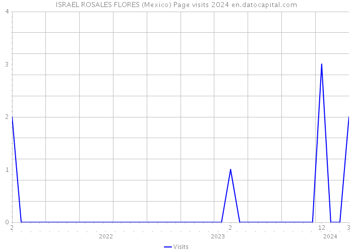 ISRAEL ROSALES FLORES (Mexico) Page visits 2024 