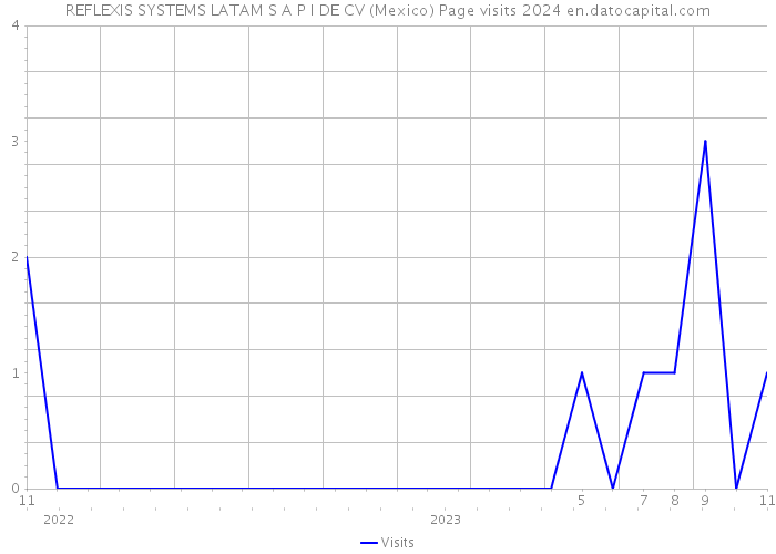 REFLEXIS SYSTEMS LATAM S A P I DE CV (Mexico) Page visits 2024 
