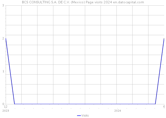 BCS CONSULTING S.A. DE C.V. (Mexico) Page visits 2024 