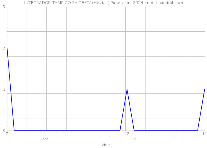 INTEGRADOR TAMPICO SA DE CV (Mexico) Page visits 2024 
