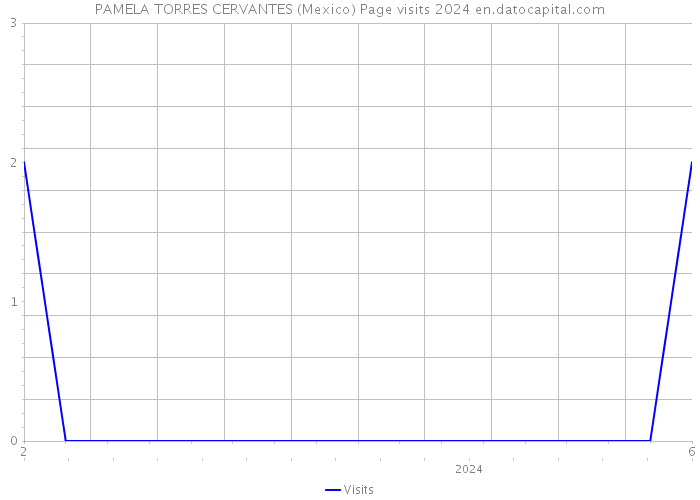 PAMELA TORRES CERVANTES (Mexico) Page visits 2024 