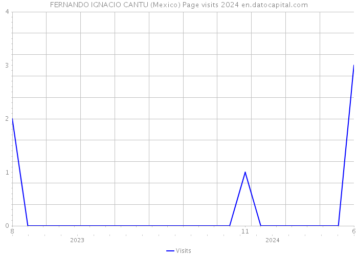 FERNANDO IGNACIO CANTU (Mexico) Page visits 2024 