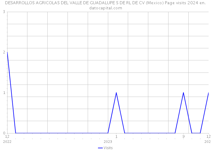 DESARROLLOS AGRICOLAS DEL VALLE DE GUADALUPE S DE RL DE CV (Mexico) Page visits 2024 