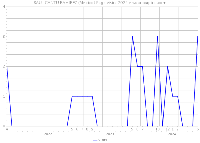 SAUL CANTU RAMIREZ (Mexico) Page visits 2024 
