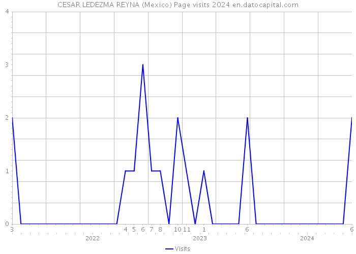 CESAR LEDEZMA REYNA (Mexico) Page visits 2024 