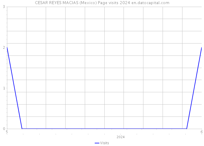 CESAR REYES MACIAS (Mexico) Page visits 2024 