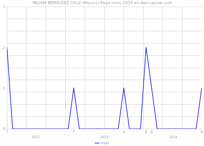 WILIAM BERMUDEZ CRUZ (Mexico) Page visits 2024 