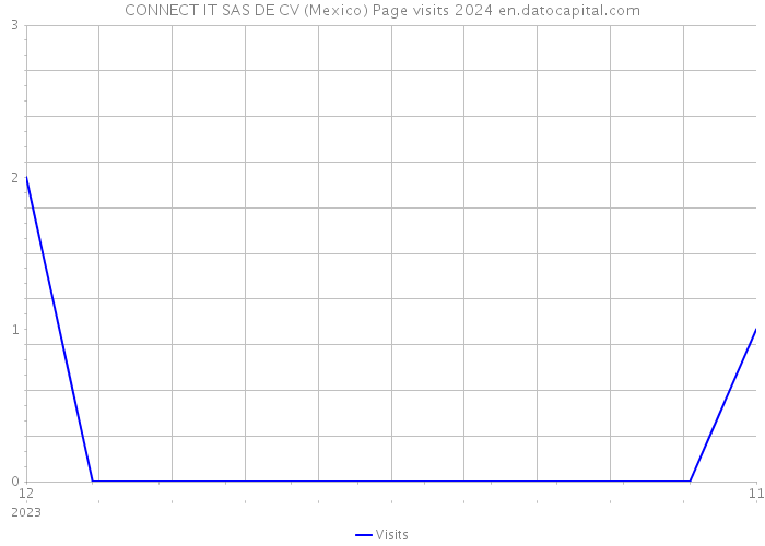 CONNECT IT SAS DE CV (Mexico) Page visits 2024 