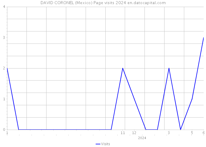 DAVID CORONEL (Mexico) Page visits 2024 