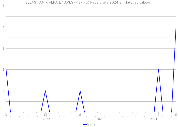 SEBASTIAN RIVERA LINARES (Mexico) Page visits 2024 