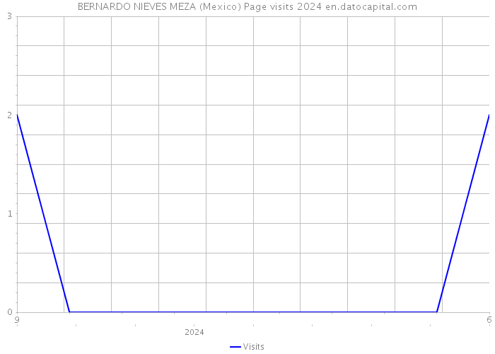 BERNARDO NIEVES MEZA (Mexico) Page visits 2024 